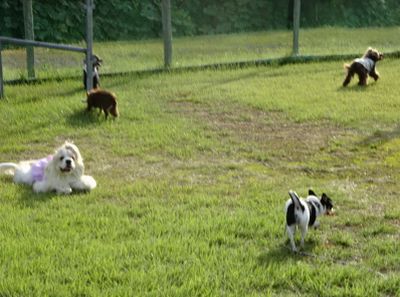 DSC05304.JPG