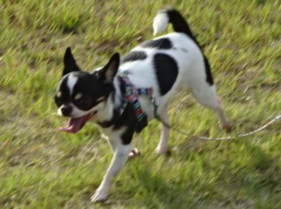 DSC05306.JPG