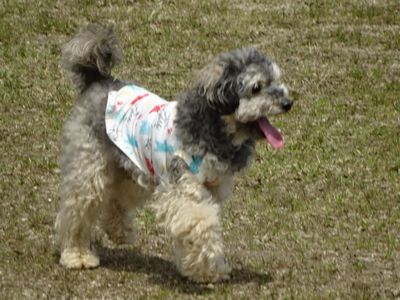 DSC05794.JPG