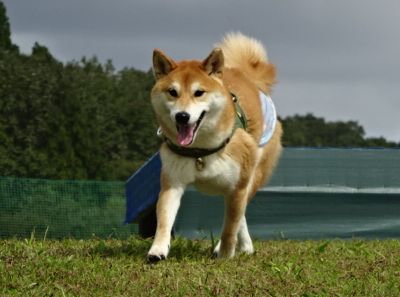 DSC05843.JPG