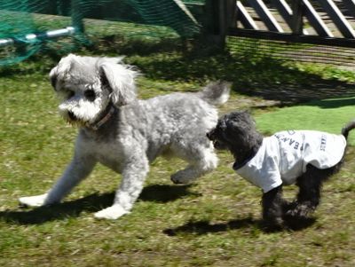DSC06515.JPG