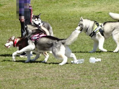 DSC06534.JPG