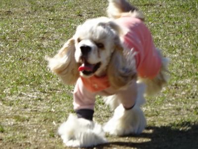 DSC06648.JPG