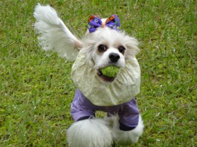 DSC07089.JPG