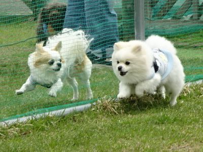 DSC07117.JPG