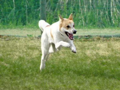 DSC07153.JPG