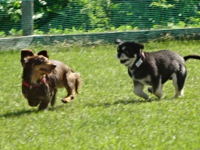 DSC07328.JPG