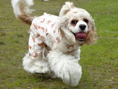 DSC07534.JPG
