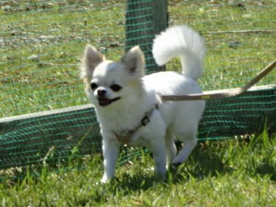 DSC07892.JPG