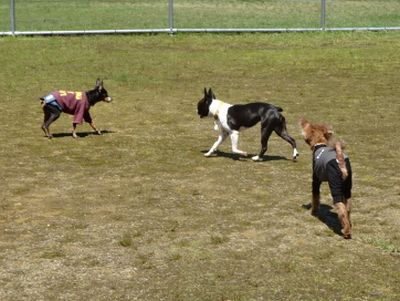 DSC07896.JPG