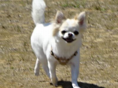 DSC07904.JPG