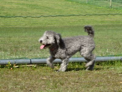 DSC07960.JPG