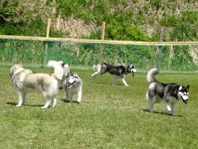 DSC08101.JPG
