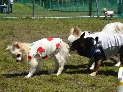 DSC08176.JPG
