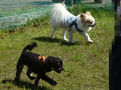 DSC08632.JPG