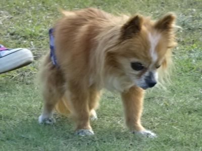 DSC08675.JPG