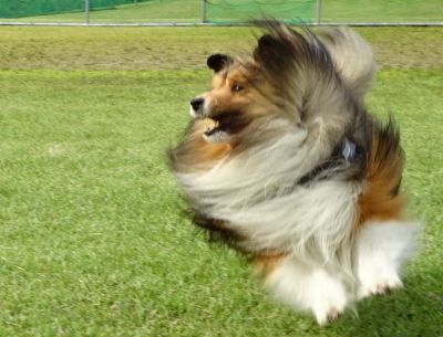 DSC08730.JPG
