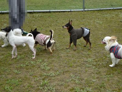 DSC08780.JPG