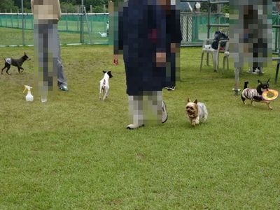 DSC08806.JPG
