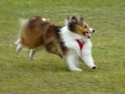 DSC08897.JPG