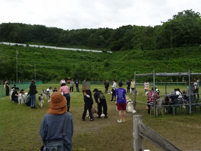 DSC09343.JPG