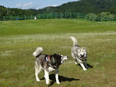DSC09559.JPG