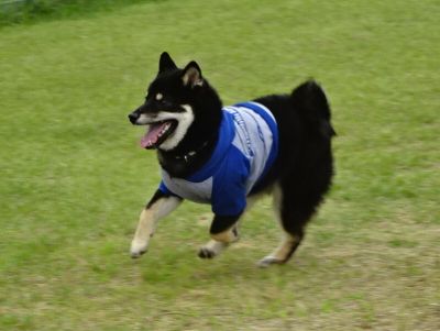 DSC09621.JPG