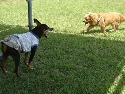 DSC09681.JPG