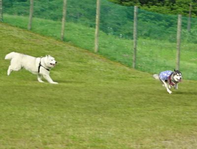 DSC09864.JPG