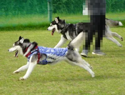 DSC09900.JPG