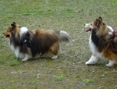 DSC09964.JPG