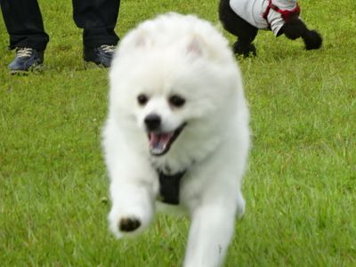 DSC01358.JPG