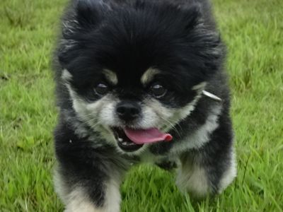 DSC02647.JPG