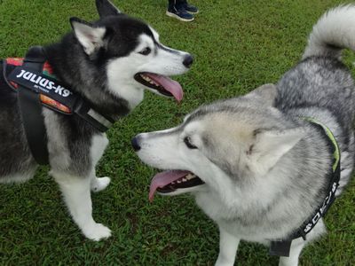 DSC02894.JPG