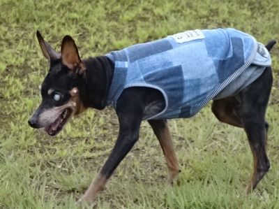 DSC03032.JPG