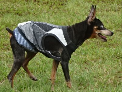 DSC03906.JPG