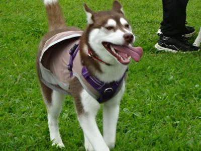 DSC04051.JPG