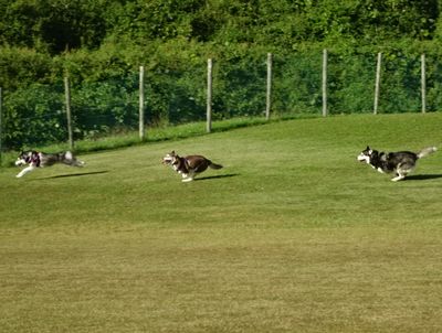 DSC05049.JPG