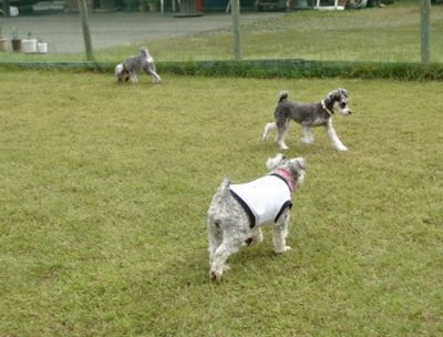 DSC05282.JPG
