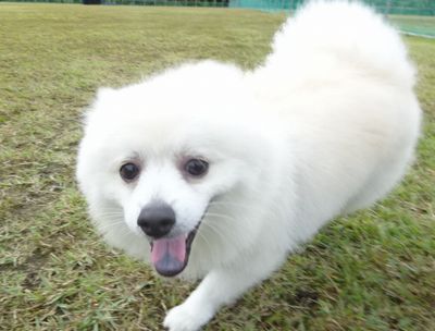 DSC05330.JPG