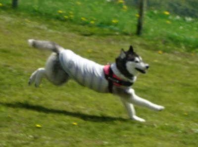 DSC06946.JPG