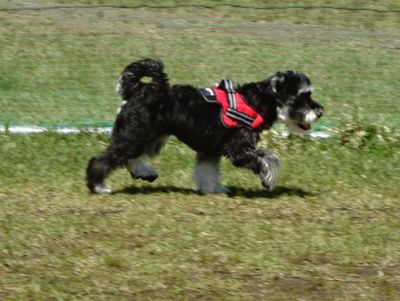 DSC07876.JPG