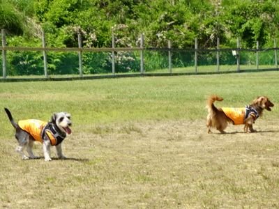 DSC08848.JPG
