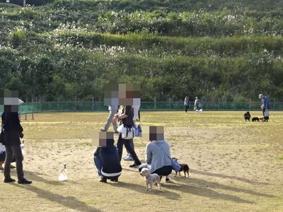 DSC00444.JPG
