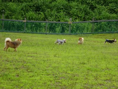 DSC05565.JPG