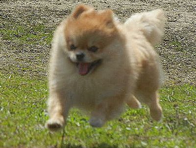 DSCN2507.JPG