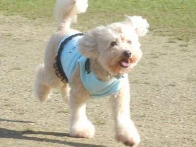 DSCN4519.JPG