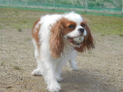 DSCN7227.JPG