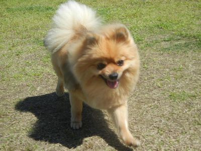 DSCN8129.JPG