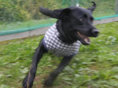 DSCN1743.JPG